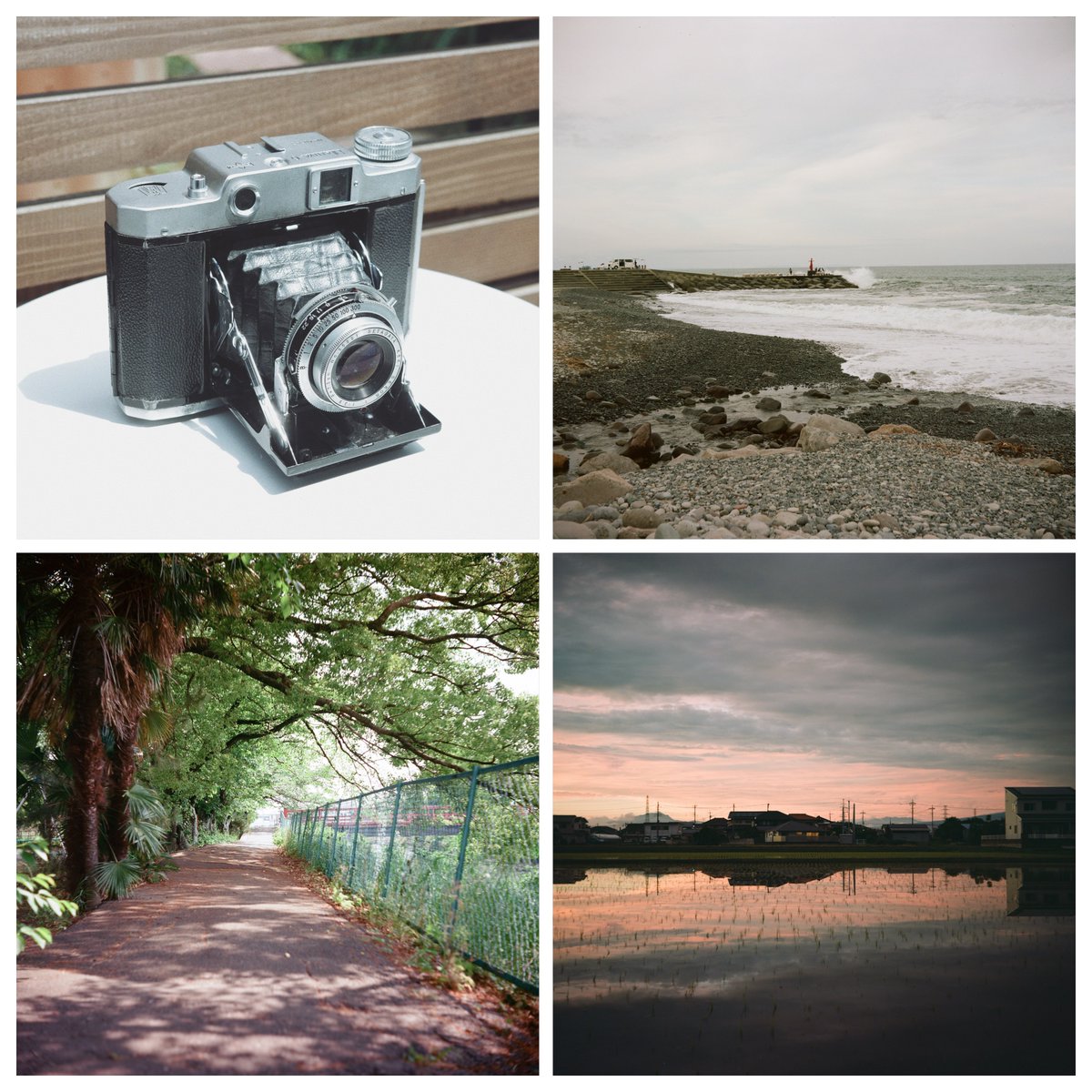 ＜作例あり＞Mamiya-6 ⅣB zuiko 蛇腹 カメラ 作例あり＞Mamiya-6 ⅣB zuiko 蛇腹 カメラ MAMIYA6 P - 使ってみた