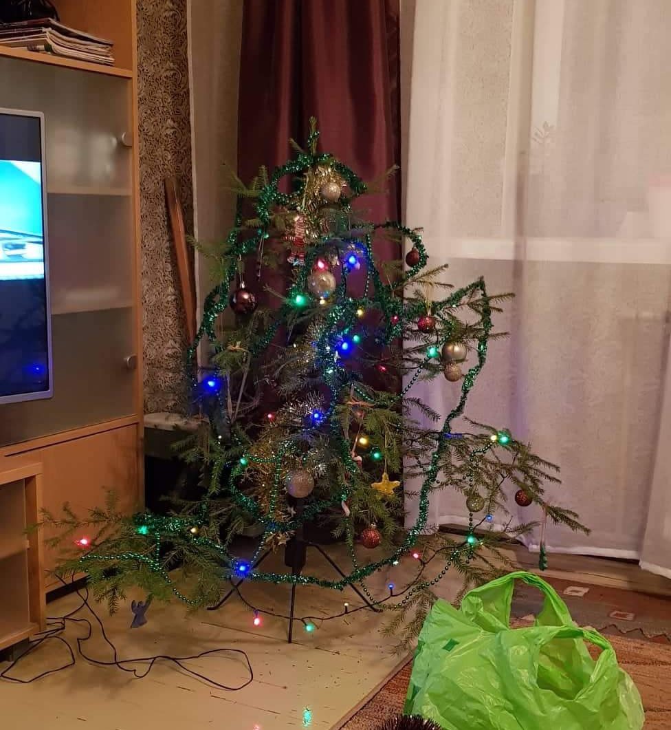 ingrīda 🌺 tweet media