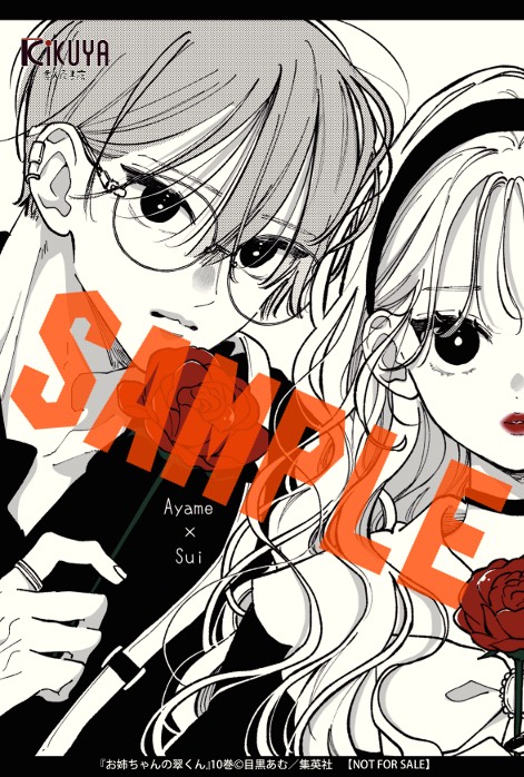 【匿名配送】お姉ちゃんの翠くん ①～⑩巻 既刊全巻セット 目黒あむ 匿名発送】 お姉ちゃんの翠くん 10巻・11巻セット - メルカリ