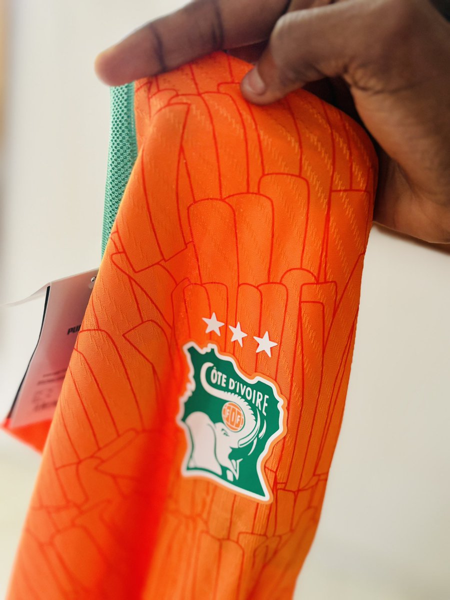 Aujourd’hui, la Côte d’Ivoire entre en lice.
Bonne chance à nos vaillants pachydermes ! 🇨🇮🐘

Cc mon Big <a href="/One_Alasco/">One Alasco🐘🇨🇮</a>. <a href="/astanajoly/">Miss Tchologo 🇨🇮</a> reste la meilleure hein. 😍🙏🏿

#TotalEnergiesAFCON2025 
#CIV225🇨🇮