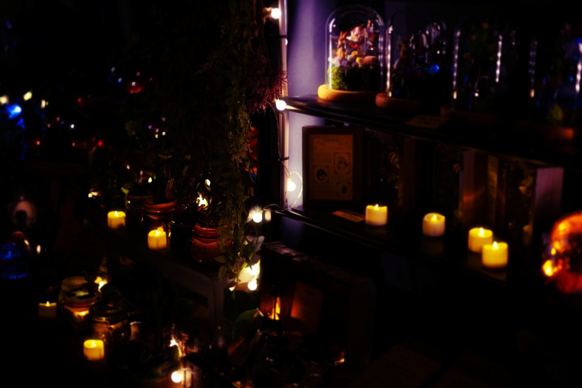 ✨開催まであと3日！✨

西洋ファンタジー主体創作作品即売イベント
『月灯りのアトリアマルシェ』

12/27（土）11:30～16:00
川崎市産業振興会館 企画展示場全面（神奈川県） 

🔮hoshimori.jp/visitor_moonlit

#月灯りのアトリアマルシェ
#星森魔法市