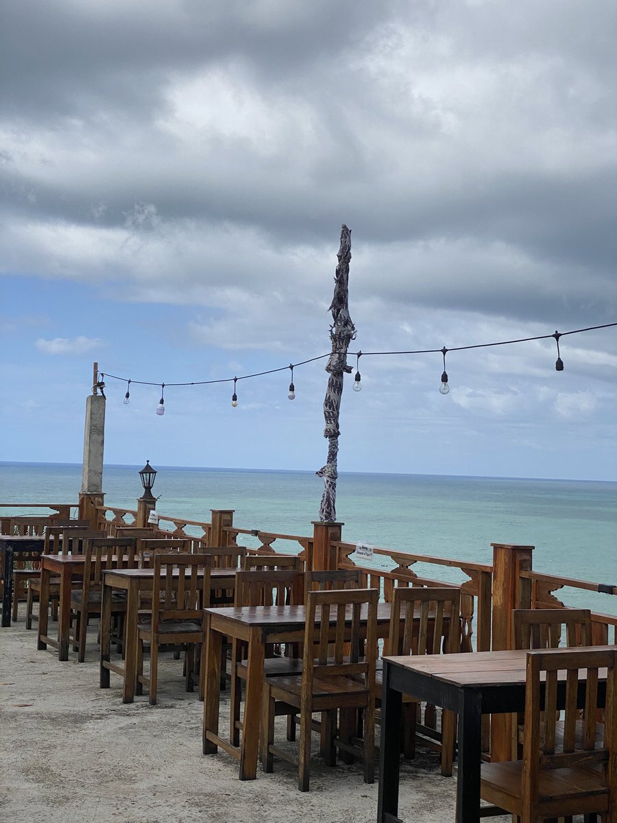 dogeoonn's tweet image. 🌺🥥🌴🌊