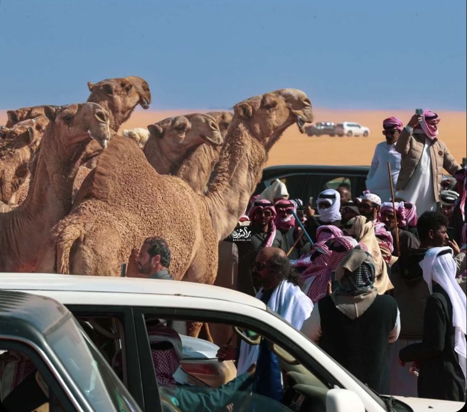 ليه العجب ياخي كذا حنا ؟
متوننا للمنـــكسر معـكاز !
<a href="/NaifMoalla/">نايف معلا</a> 
#سمارات_عتيبه 
#مهيوبات_عتيبه 
#الصياهد #شلفا_ولي_العهد