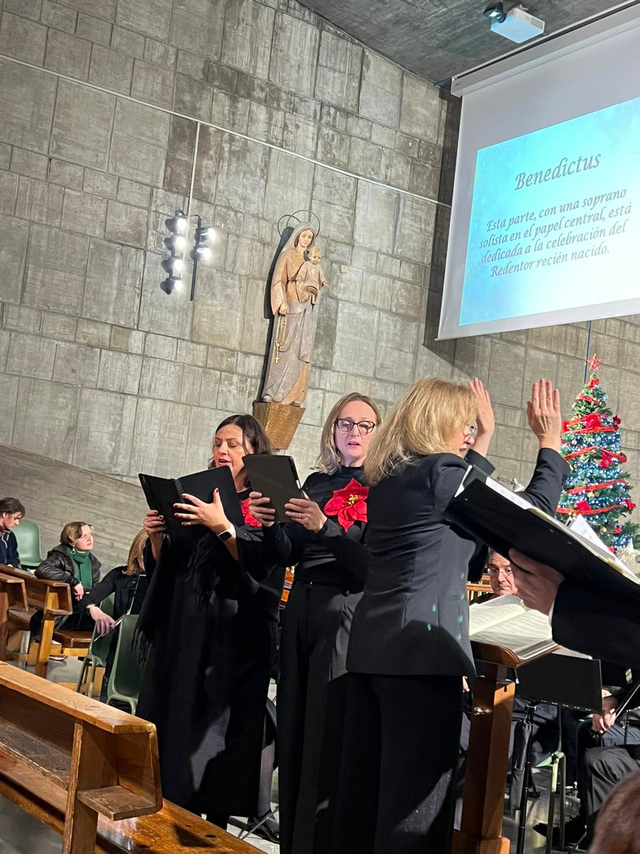 Czech Embassy Madrid tweet media