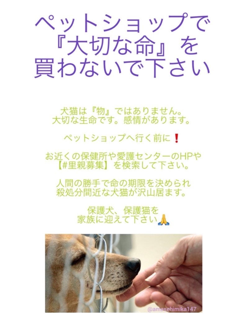 #ペットショップに行く前に ‼️

#保健所 や #愛護センター では
罪のない #犬猫 が恐怖で震えながら
檻の中に閉じ込められ 
命の期限を決められ  
#殺処分 されます

#里親募集 を検索し
保健所、愛護センターから
家族に迎えて下さい🙏

#殺処分反対 
#保護犬を家族に
#保護猫を家族に
#TNR反対