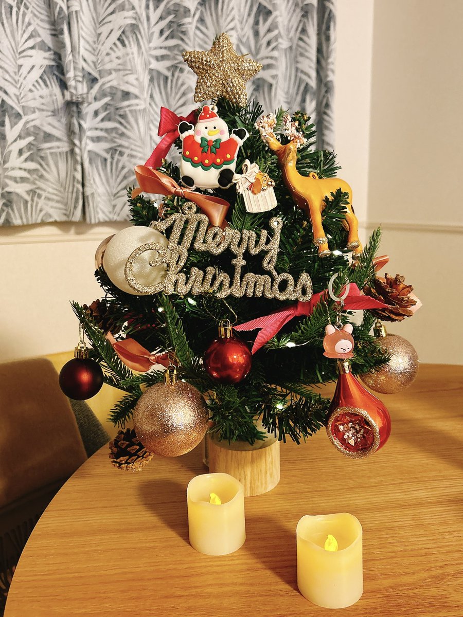 きさきちゃんがくれたオーナメント飾って完成❣️🎄⛄️💛