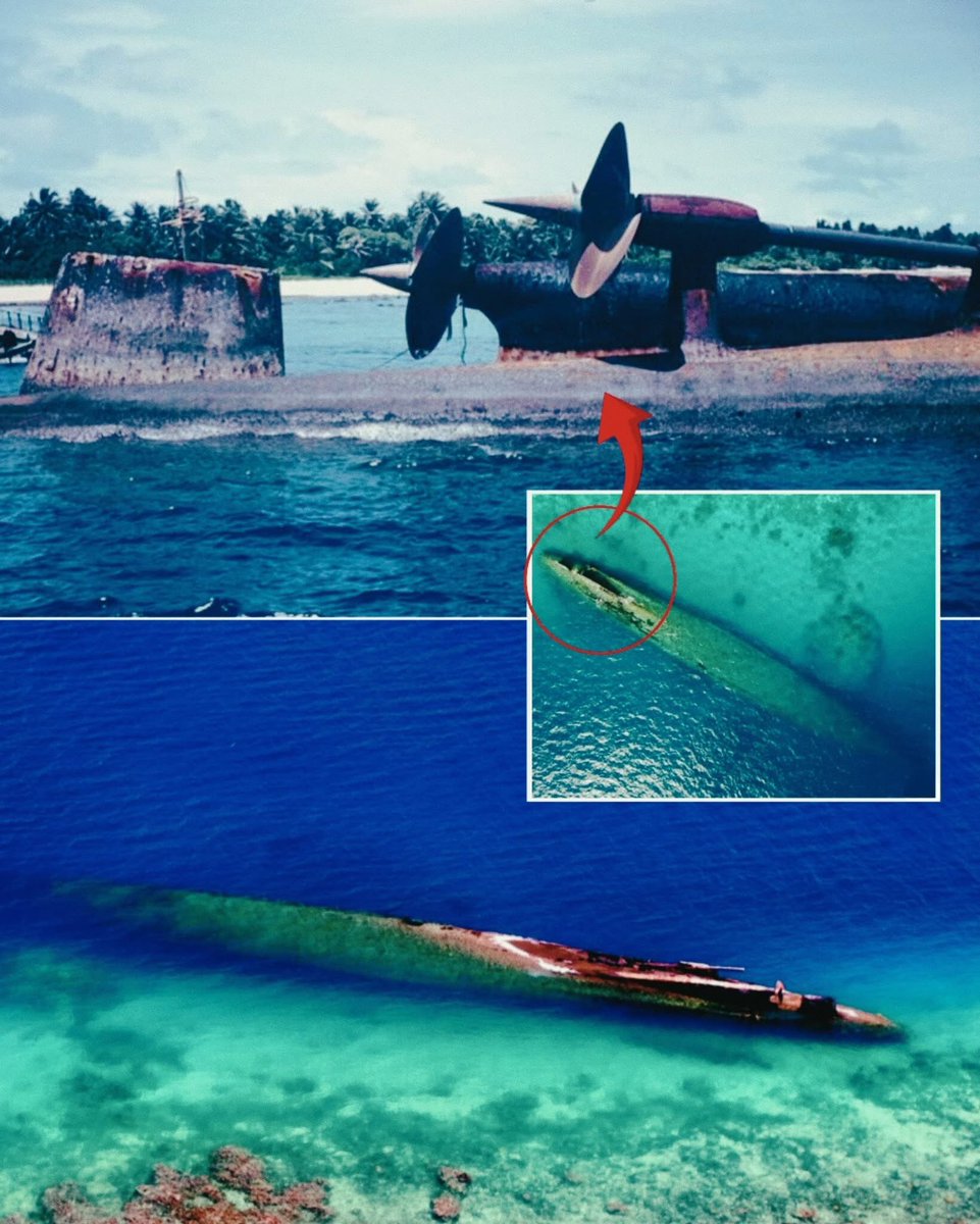 The wreck of the German heavy cruiser Prinz Eugen, lying half-submerged at Kwajalein Atoll since 1946, had quietly held hundreds of thousands of gallons of bunker fuel inside her corroding tanks for decades. By the 2000s, that oil had become a ticking ecological risk to the
