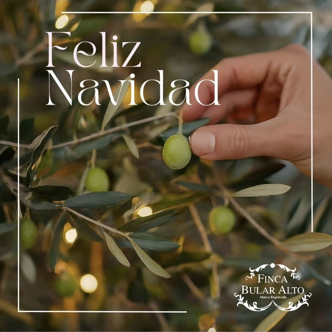 Finca Bular Alto tweet media