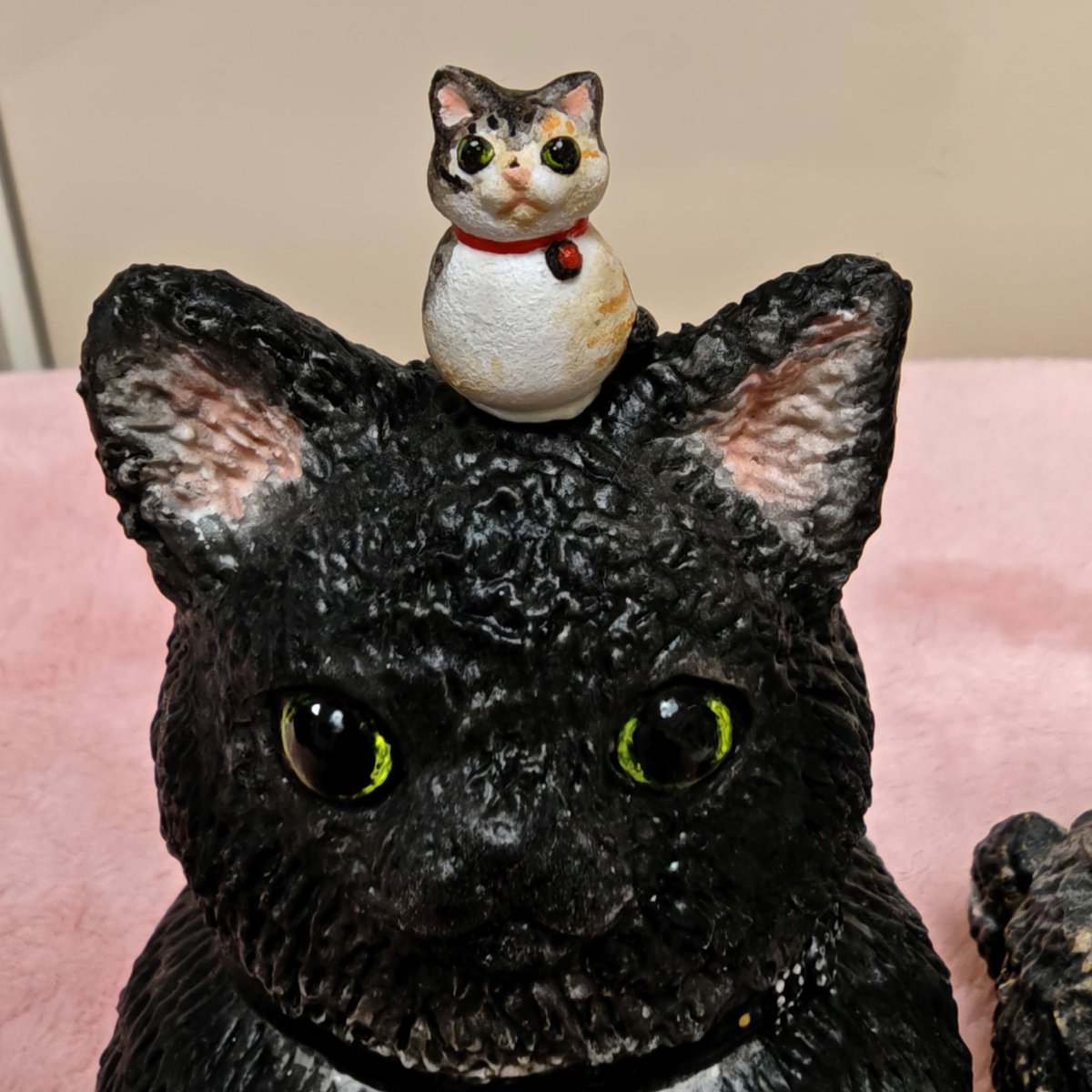 きゃねこ (@kyanecoxx) / Posts / X