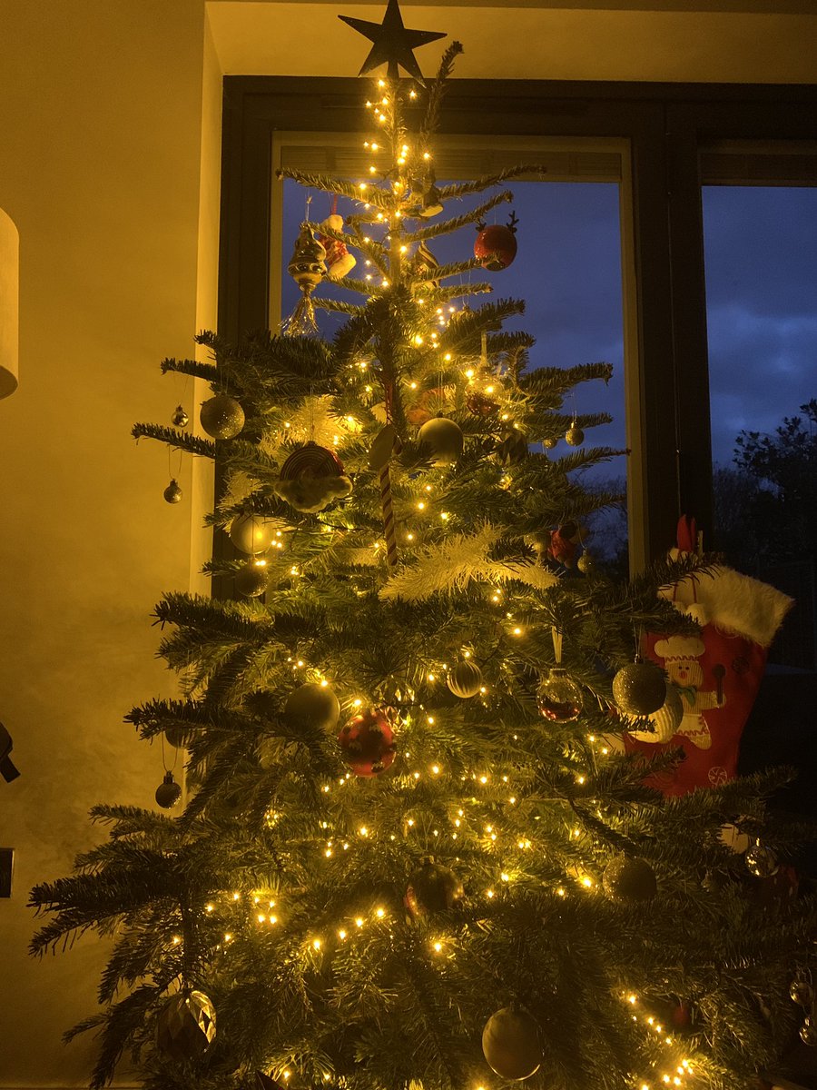 burcinmavituna's tweet photo. Merry Christmas 🎄 https://t.co/4pLoOoBjbU