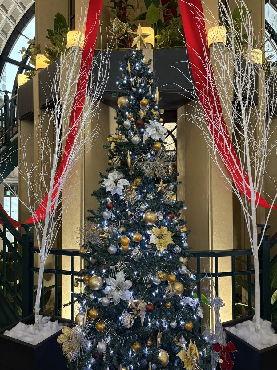 本日はロミミュ、一公演！！
そしてクリスマスイブです🎄
作中の季節ともリンクしてます。

劇場近くのツリー！

#ロミミュ