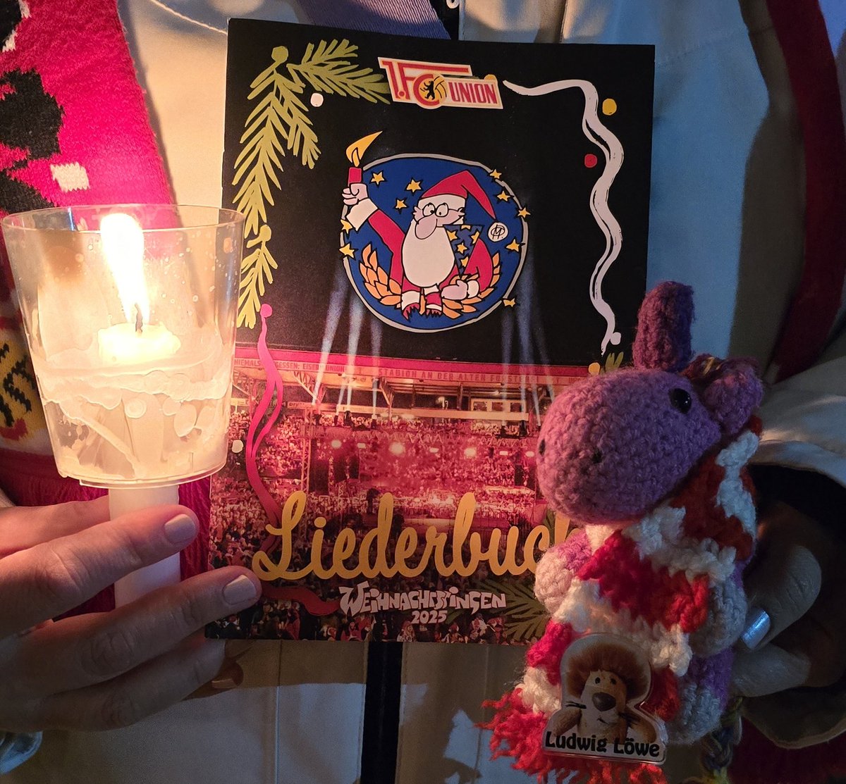 Fridolin tweet media