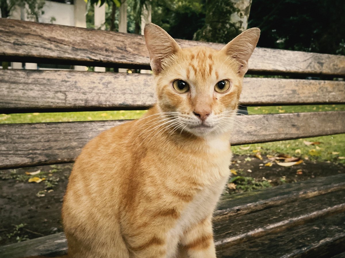 coffee_matchaaa's tweet image. #SudutUGM perpusat after rain🌧️