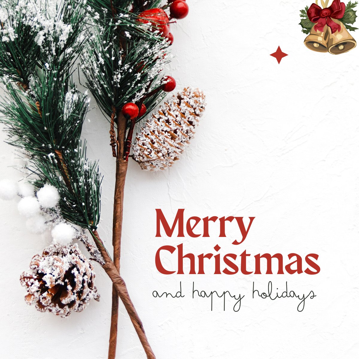 solverixtech's tweet photo. Merry Christmas from Solverix Technologies Pvt Ltd🎄

Wishing you joy, peace, and success this festive season.

May the #holidays bring new ideas, positive energy, and fresh opportunities for growth.

#MerryChristmas #ChristmasWishes #SeasonOfJoy #FestiveGreetings https://t.co/qzvwKYibgQ