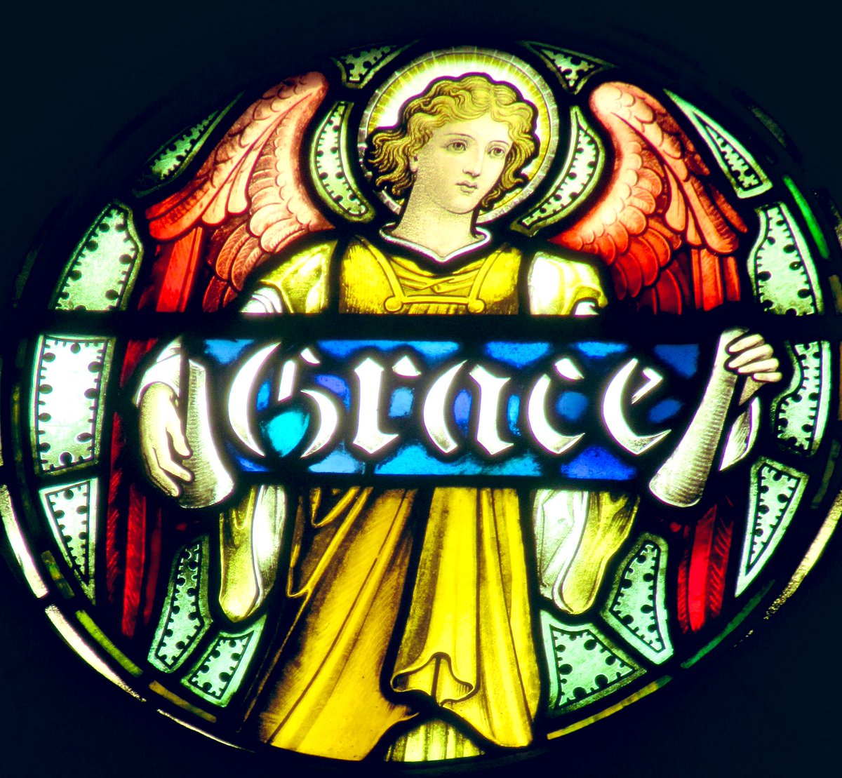 Nancy Johnston tweet media