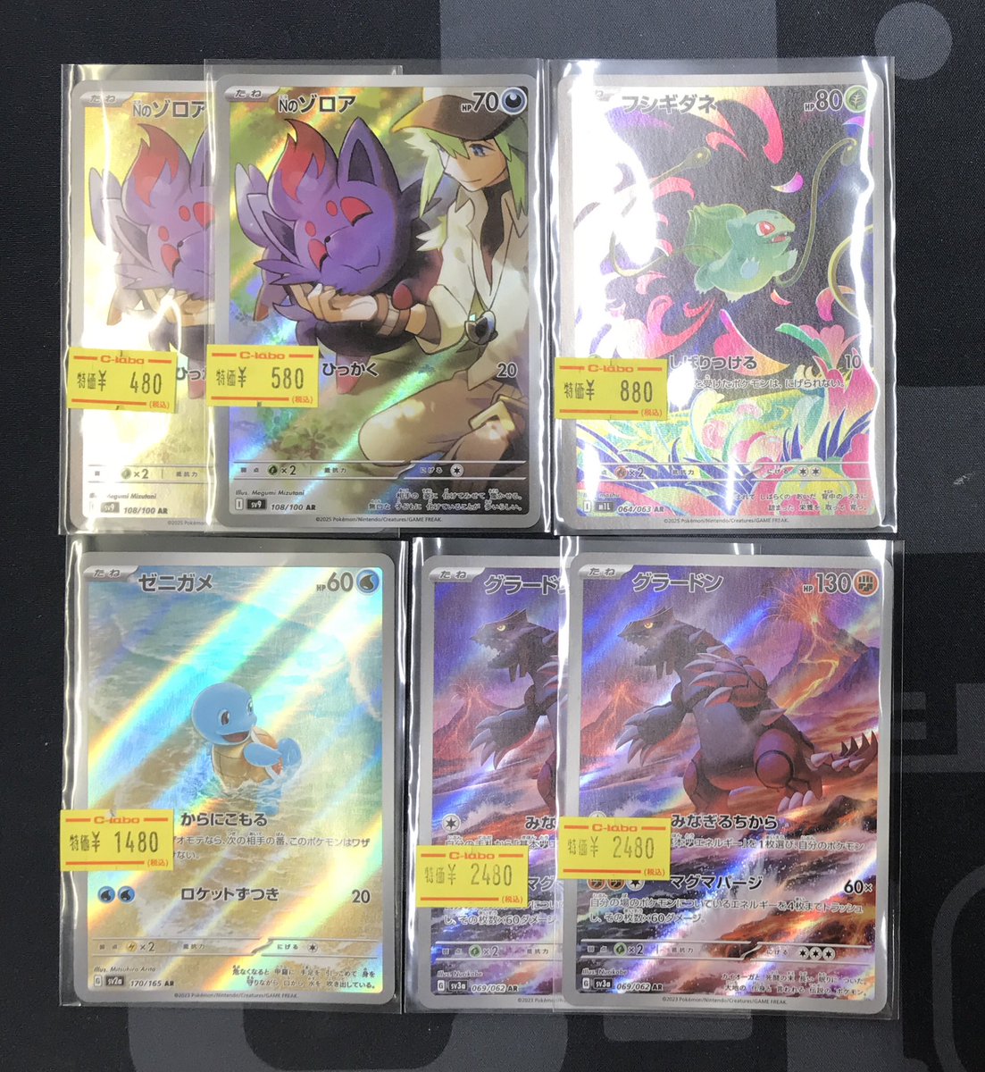 ポケモンカード 販売情報】 AR《Nのゾロア》 AR《フシギダネ》 AR