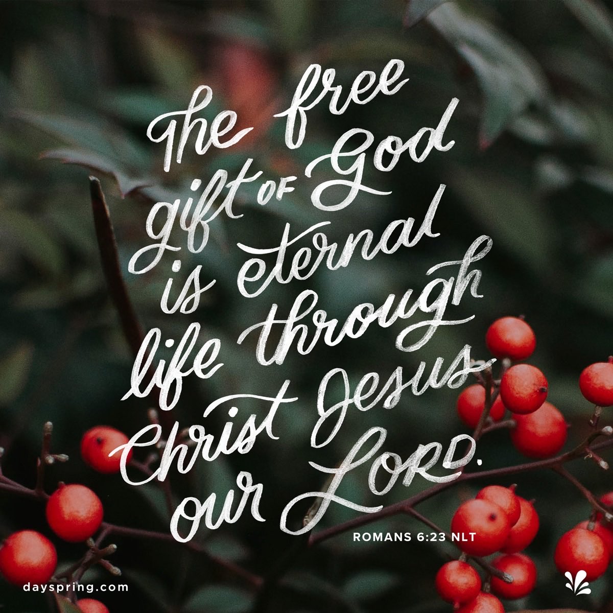 I won’t be posting for a few days over the Christmas holidays.
I hope you all have a very Happy Christmas &amp; a blessed New Year.