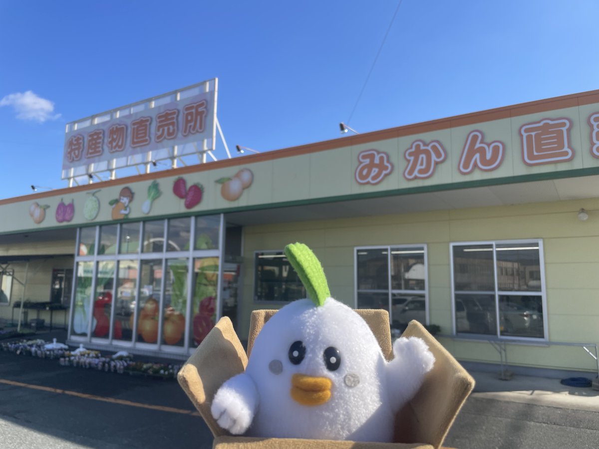 （9月VIP 15%off中） きょうかです❣️0923 ⑨ちーチャン🍷 (@Chikayp0409) / Posts / X