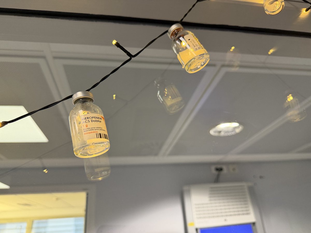 Elo Megaph 🌻 tweet media