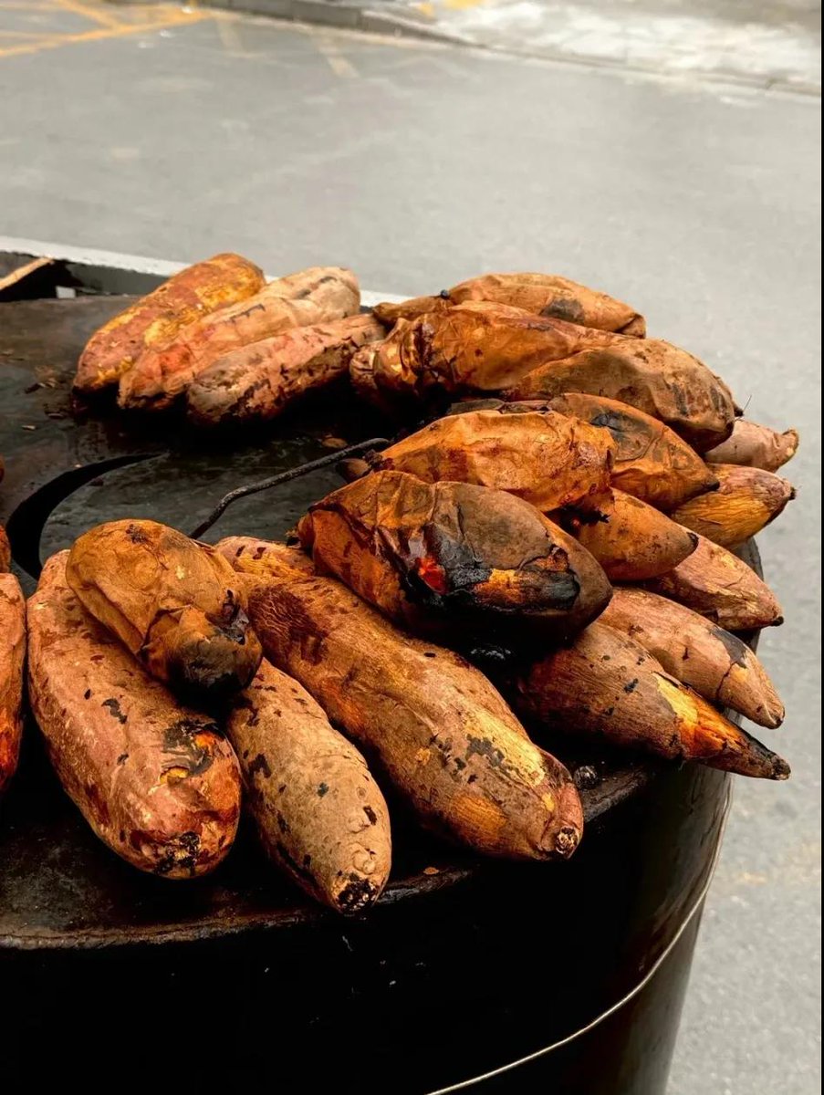 ThisisBijie's tweet image. Warm up with Bijie's winter street treats – roasted sweet potatoes, grilled dried bean curd, and popcorn – with flavors that reflect the essence of local life. Share your favorite snack in the comments section! #WinterTourism #BijieFood 🍠👇