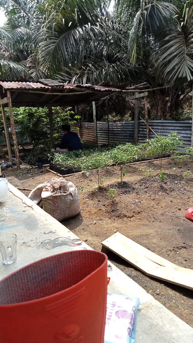 saya yg mandorin, cepetan pak