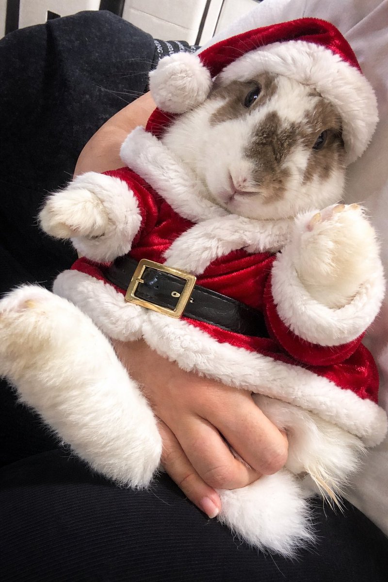 이거 진짜 인식율 장난 아니다 너무 좋아