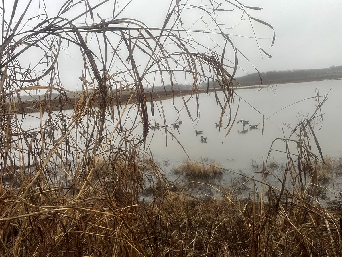 Stephen Holt ✝️ tweet media