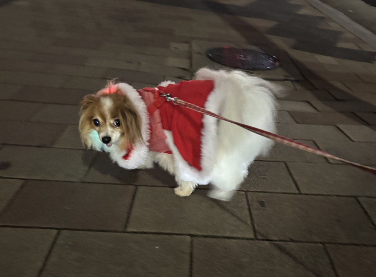 しふぉん tweet media