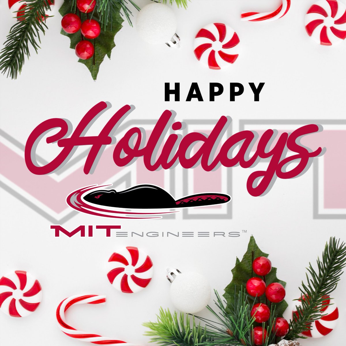 MIT Baseball tweet media