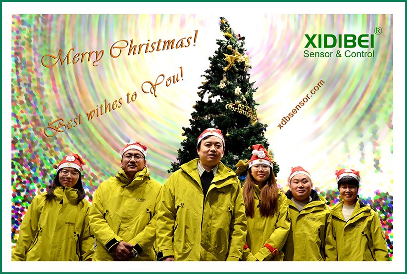 XIDIBEI Sensor & Control (@xdbsensor) / Posts / X