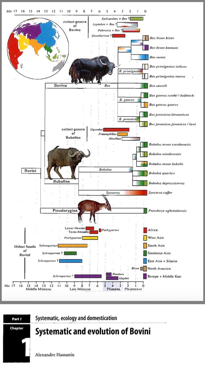 Zeke_Darwin's tweet image. You are more closely related to a chimp than a bison is to a buffalo.

Came across this interesting family tree figure while reading a paper for a video this morning.