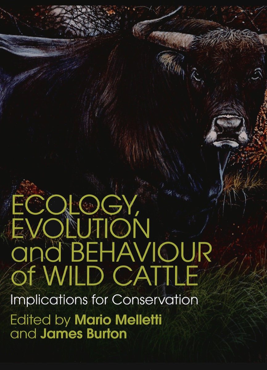 Zeke_Darwin's tweet image. You are more closely related to a chimp than a bison is to a buffalo.

Came across this interesting family tree figure while reading a paper for a video this morning.