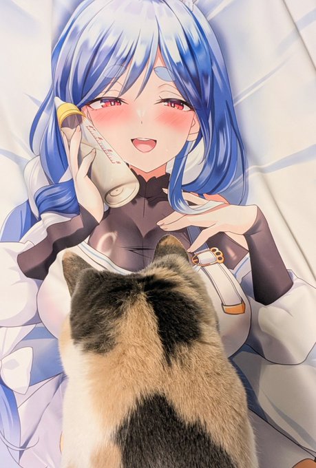 職人による抱き枕の色校チェックと揉み心地の最終チェックをしていただいております
「ヨシ!」とのこと 