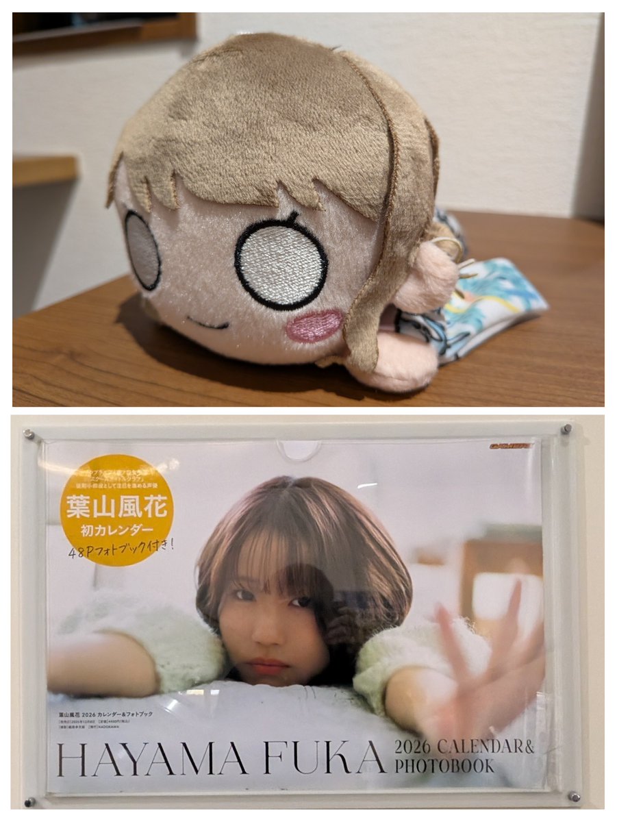 本日、徒町の「寝そべり」加賀友禅こらぼ柄をお招きしました