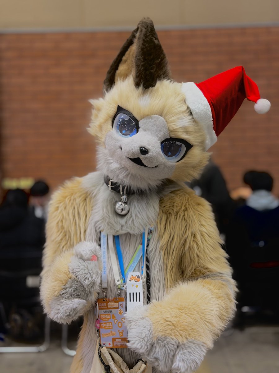 shellpwe's tweet image. #fursuit #furry #着ぐるみ

이렇게 귀여운 디스티와 함께 크리스마스를 지내볼래?

📸 : @jamitjoe