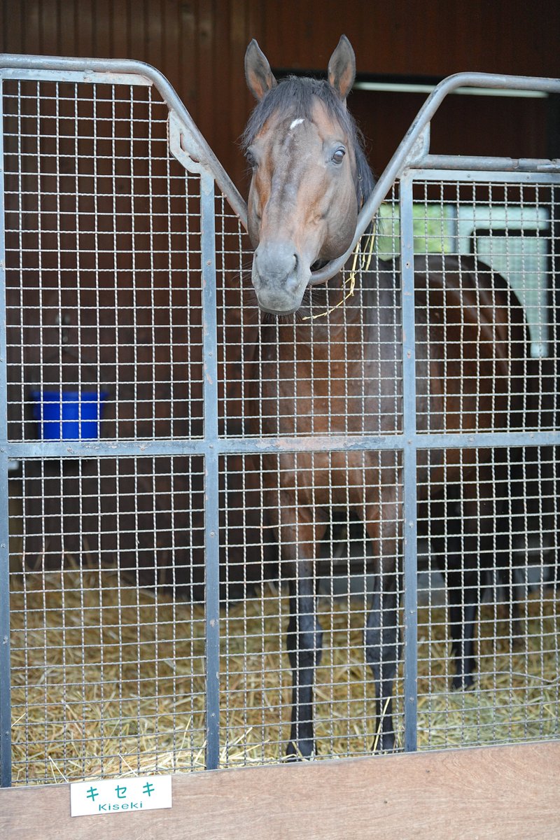 あっ♡キセキぃ♡♡