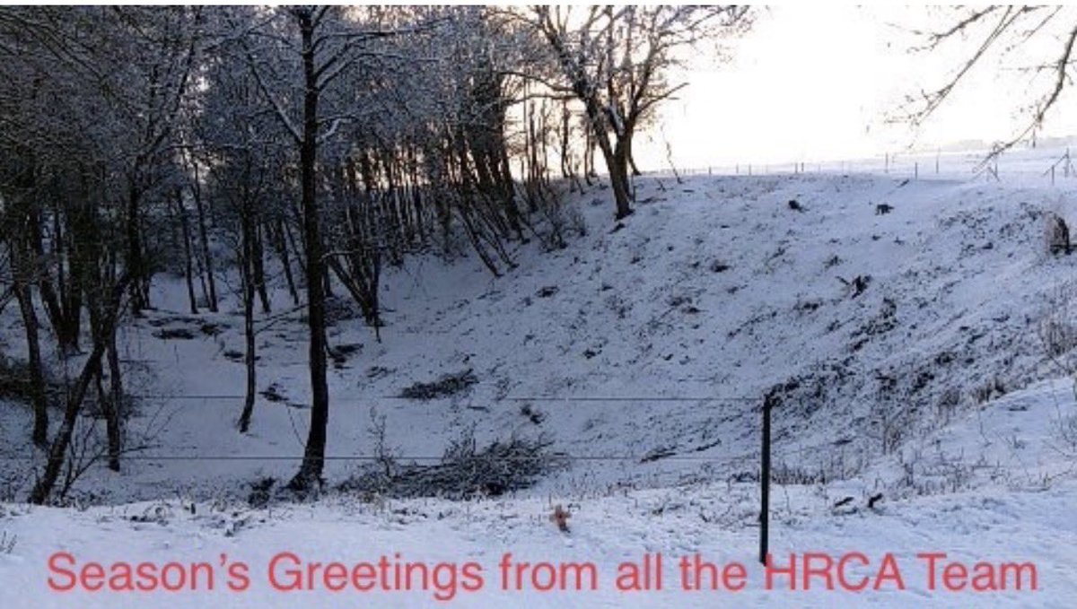 Hawthorn Ridge Crater Association tweet media