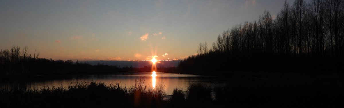 Wat een mooie wereld kan het  toch zijn! Vanmorgen vroeg in de kou.....echt even wennen.....'t Sohr Maasrijk Blitterswijck.