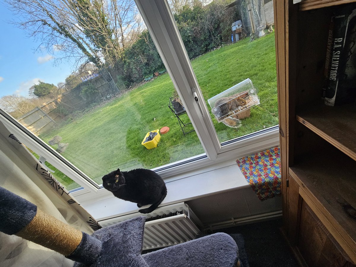 Angel Annie. tweet media