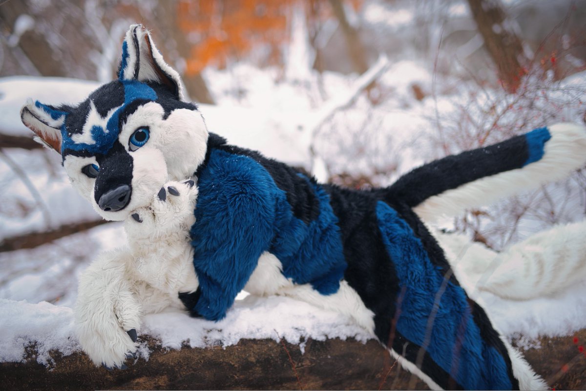 kealian 🔜 FWA/CFZ tweet media