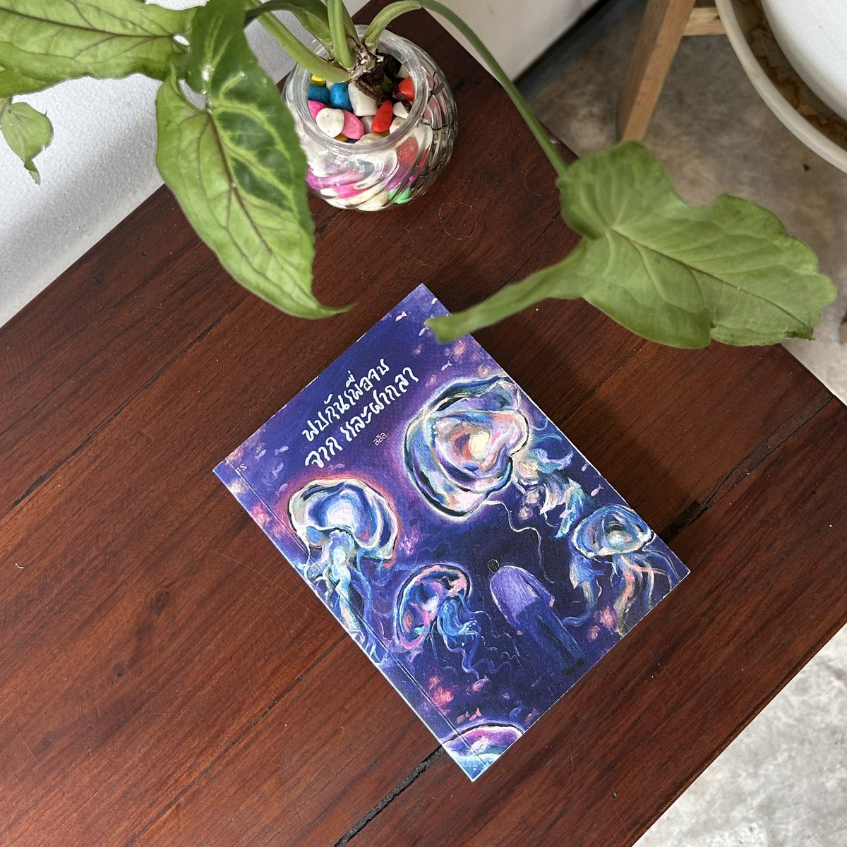 fonsalil's tweet image. โฮะ โฮะ โฮะ 🤶🎄✨

แจกหนังสือ #พบกันเพื่อจบจากและฝากลา และ #มิดไนท์บลู เรื่องละ 1 เล่มเนื่องในวันคริสต์มาสค่า

กติกาคือสุ่มจากรีทวิตนี้เท่านั้น ประกาศผลวันศุกร์ที่ 26 ธันวาตอนหกโมงเย็นค่ะ 🎁