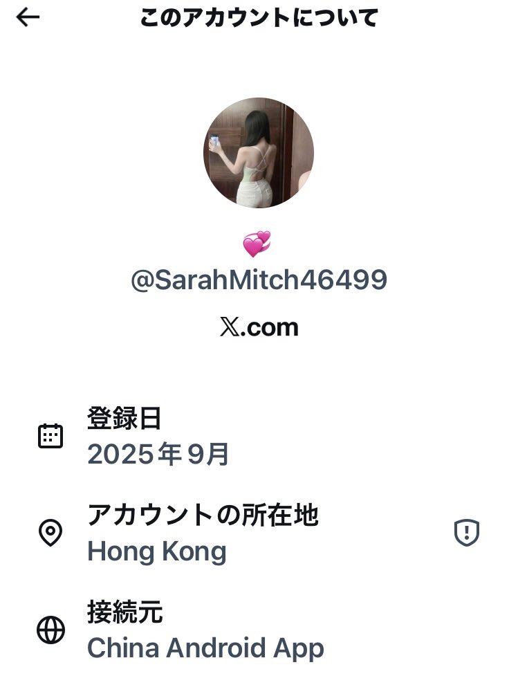 絡んでも何のメリットもない悪質なアカウントを知らない人達へ😎簡単な