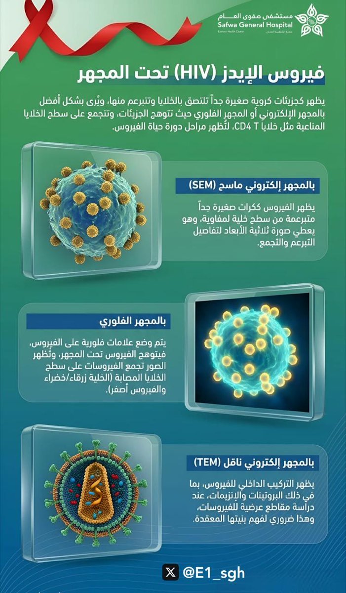فيروس الإيدز(HIV) تحت المجهر
مستشفى #صفوى العام
#تجمع_الشرقية_الصحي