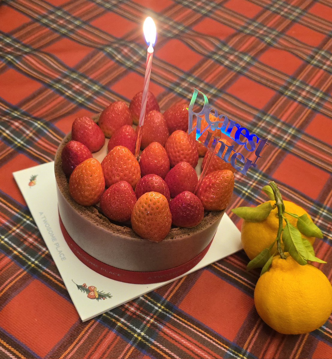 메리크리스마스이브🎄