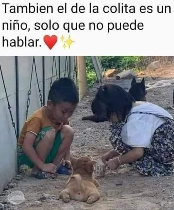 GRamirezF_D12's tweet photo. Buenos días Feliz miércoles ✨💖 https://t.co/5qA5haJeG1