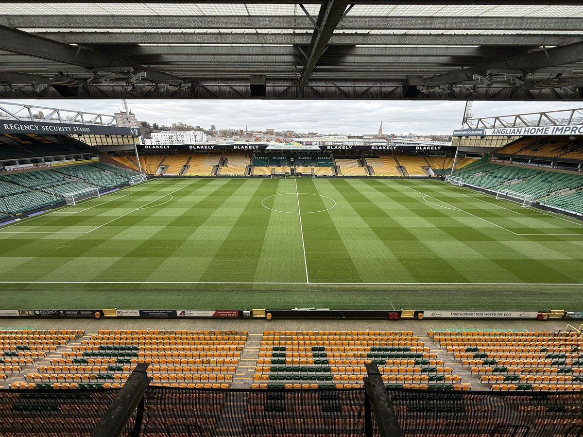 Robert Palmer tweet media