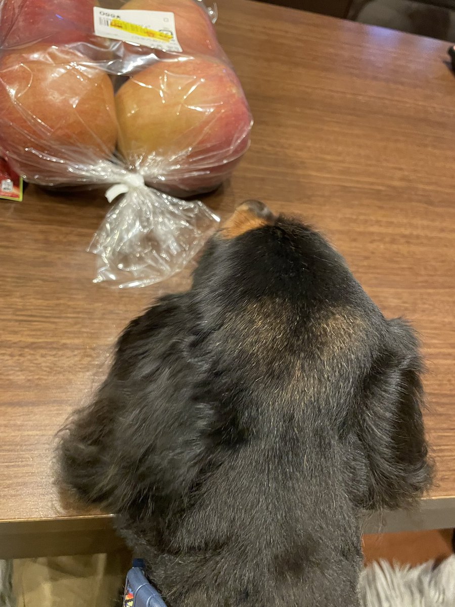 ヤマト@ワン虎 (@tig_jfk) / Posts and Replies / X