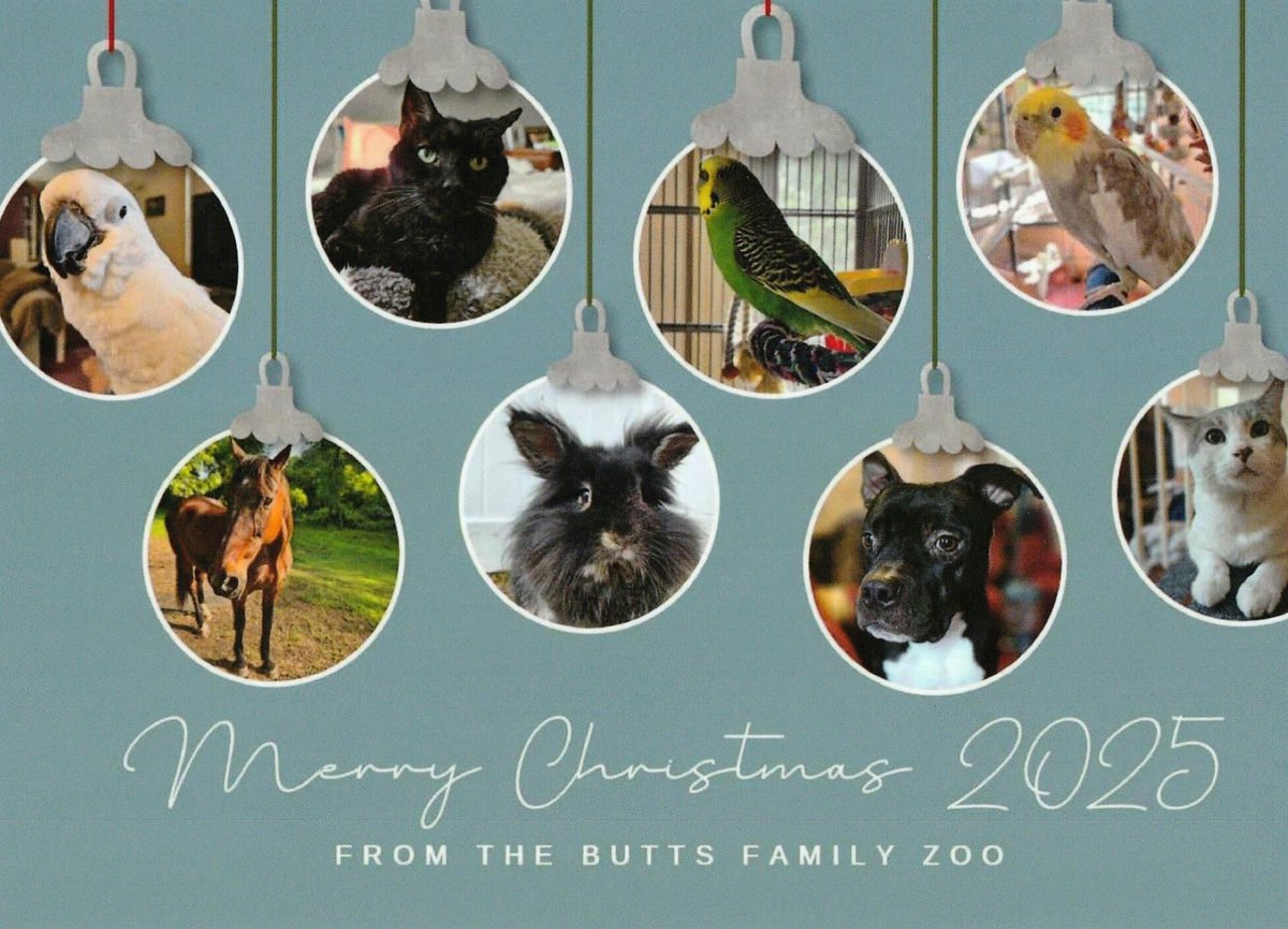 Merry Christmas to you my fellow animal lovers and hero's you are the best. Mike Butts  MyFourLeggedKids.Com