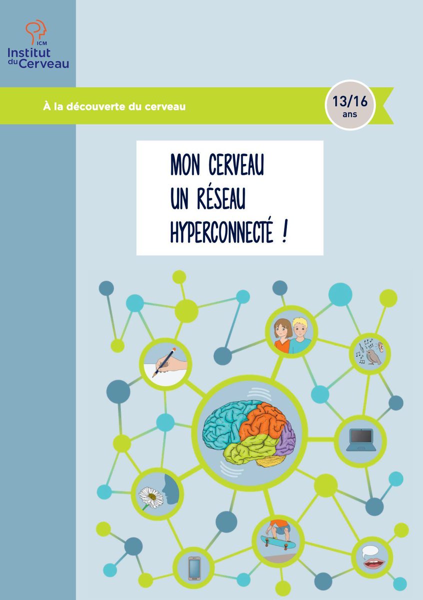 🧠 Comprendre le cerveau des 13–16 ans, c’est mieux outiller nos choix pédagogiques.
👉 Maturation jusqu’à ~20 ans 
👉 Émotions/récompense VS contrôle (cortex préfrontal) = impulsivité.
Pistes : routines, métacognition, apprentissage social, prévention
drive.google.com/file/d/1NJOETG…