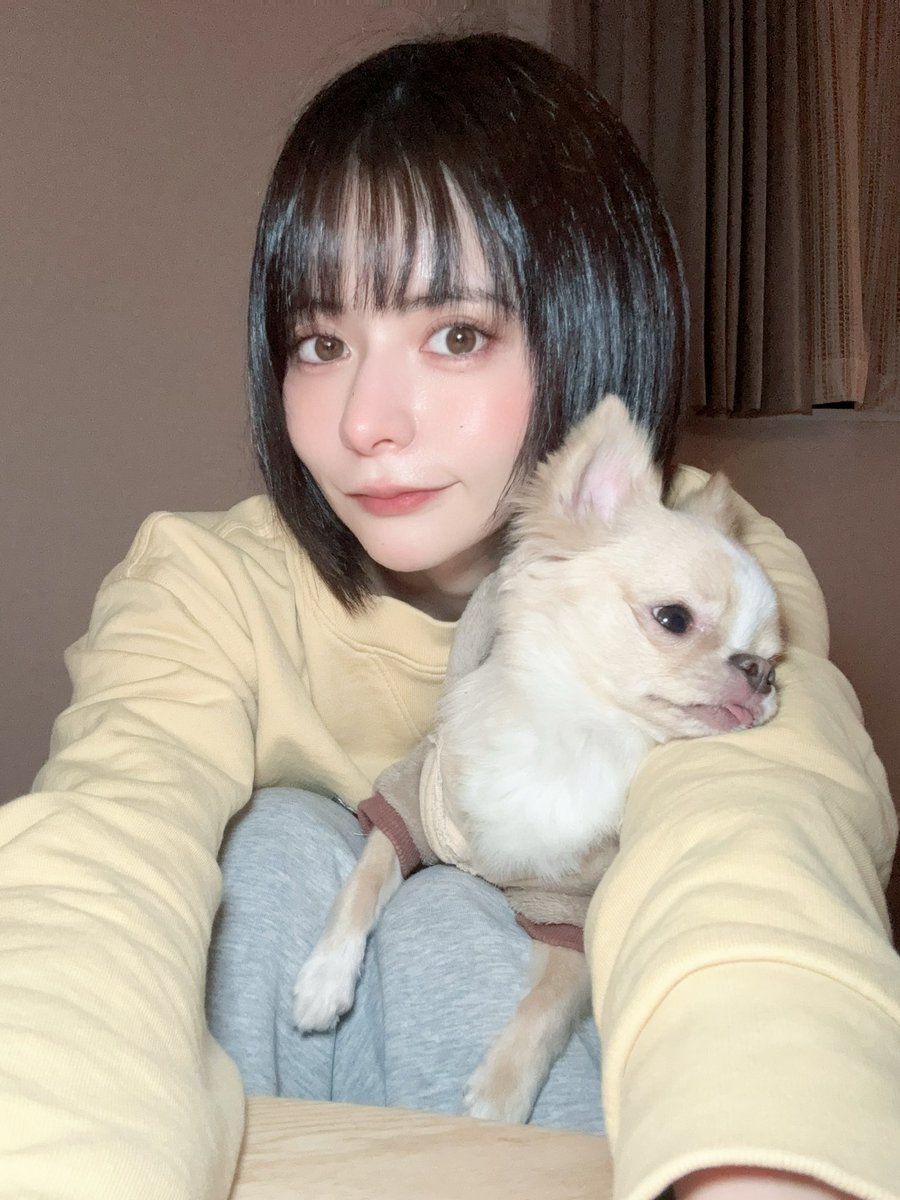 パジャマのような格好で原宿を犬と練り歩き
前髪を切ってトリートメントをして帰ってきました🎅

せっかく綺麗にしてもらったのにお風呂に
入って寝るだけのハッピーホリデーです‼️‼️‼️‼️ https://t.co/Htc9LfVJJs